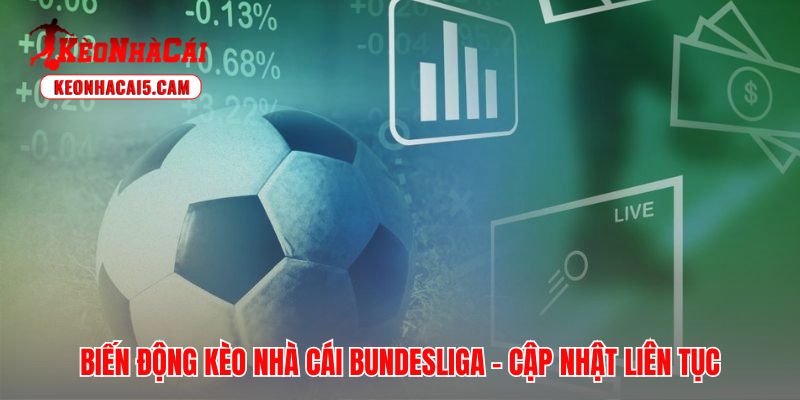 Kèo nhà cái Bundesliga cập nhật bốn yếu tố làm thay đổi tỷ lệ cược