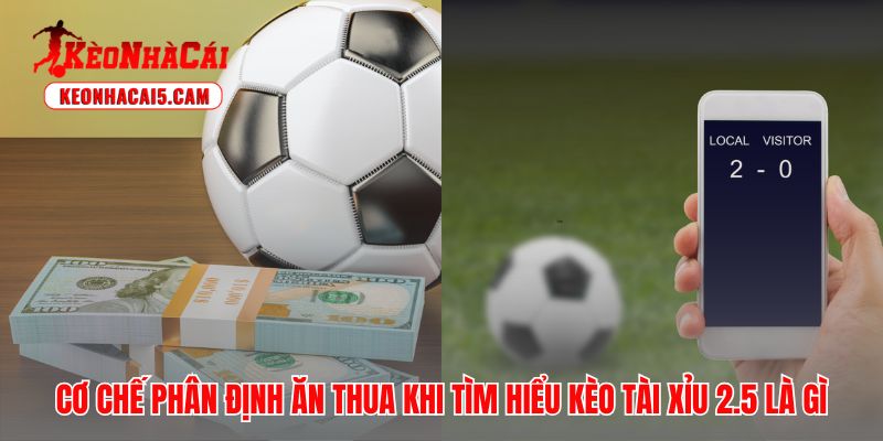 Kèo tài xỉu 2.5 là gì minh chứng cho quy tắc thắng thua dứt khoát
