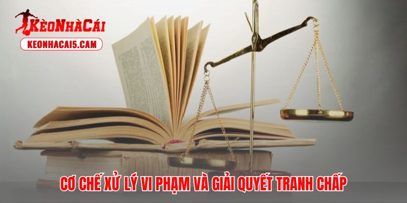 Quy trình xử phạt tự động đảm bảo tính công bằng và răn đe