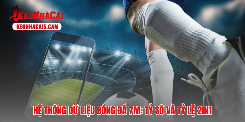 Livescore 7M xử lý hàng triệu luồng dữ liệu bóng đá toàn cầu mỗi giây