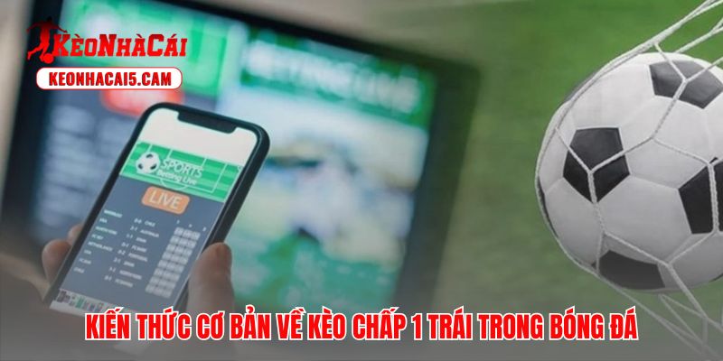 Bản chất số nguyên của kèo chấp 1 giúp người chơi tránh bẫy tâm lý