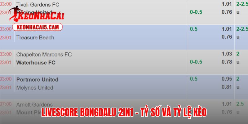 Livescore Bongdalu hiển thị song song tỷ số và odds trên giao diện 2in1