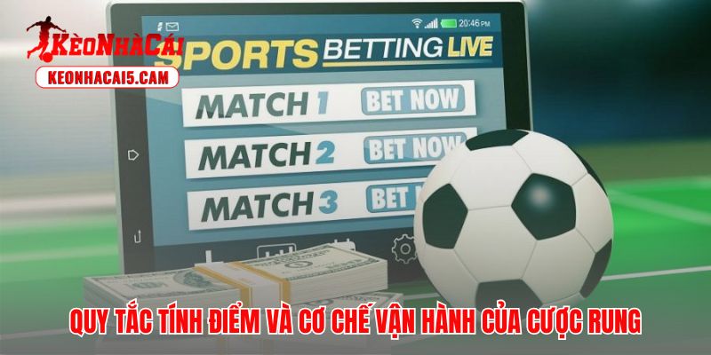 Kèo rung là gì vận hành dựa trên cơ chế tính điểm hoàn toàn tách biệt